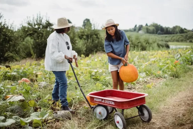 Building a Farm with Strong Faith and Community Connections