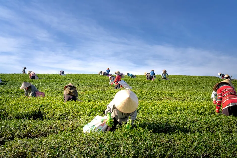What Role Does Faith Play in Receiving Abundant Blessings in Agriculture?